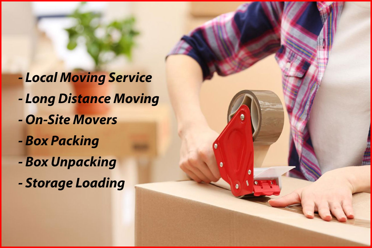 Packers And Movers Noida Sector 100